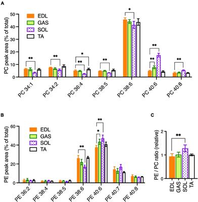 Lipidomic Analyses Reveal Specific Alterations of Phosphatidylcholine in Dystrophic Mdx Muscle